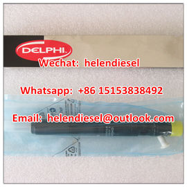 China Ursprünglicher Delphi-Injektor EJBR03301D, R03301D, 1112100TAR, TEER 1112100, echt und nagelneu für JMC/JIANGLING fournisseur