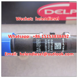 China Echter DELPHI-Injektor EJBR04601D, R04601D, A6650170321, 6650170321, A6650170121, 6650170121, EJBR02601Z, R02601D fournisseur