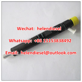 China Nagelneuer echter DELPHI-Injektor EJBR05301D, R05301D, F50001112100011, F5000-1112100-011, EJBR06101D, ursprüngliches YUCHAI fournisseur