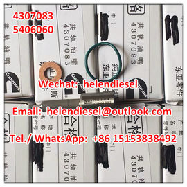 China Echte und neue CUMMINS-Düse 4307083, P5461846FSW, 5406060 ursprünglich und nagelneu fournisseur