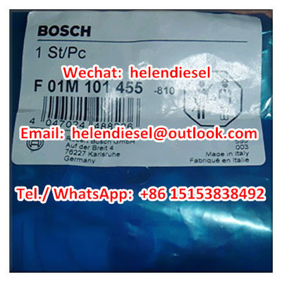China Echter -Teil-Satz/Reparatur-Set F01M101455, F 01M 101 455,  ursprünglich und nagelneu, F01M100276, F 01M 100 276 fournisseur