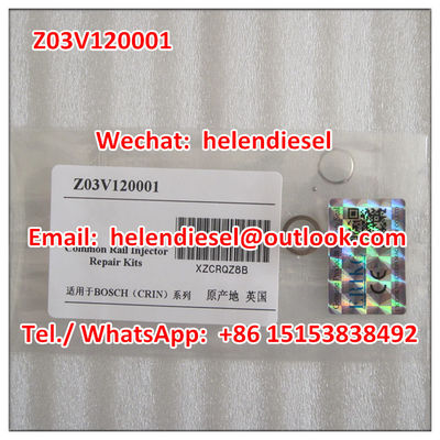 China -Injektor-Dichtungs-Ausrüstungen/Reparatur-Sets Z03V120001, Z 03V 120 001 fournisseur