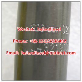 China Garantierte allgemeiner Schieneninjektor 0432191313, 0 432 191 313, 02113000 BOSCH, 0211 3000 echter Bosch fournisseur