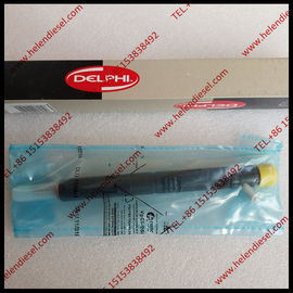 China DELPHI Common-Schieneninjektor EJBR02801D, R02801D, EJBR01901Z für Hyundai KIA 33800-4X500,33801-4X500 fournisseur