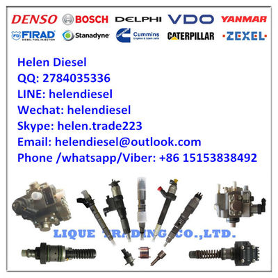 Echte und neue ursprüngliche Tanksäule 0440020117 , 0 440 020 117, Zahnradpumpe/Ölversorgungspumpe, ursprüngliches und nagelneues fournisseur