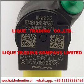 Echter und neuer DELPHI-Injektor 28342997,28348371, EMBR00002D, R00002D, EJBR00002D, ursprüngliches OE, A6510700587, A6510704987 fournisseur