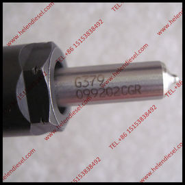 Echte und neue DELPHI-Kraftstoffeinspritzdüse 28231014, 1100100-ED01, 1100100ED01,1100100 ED01, FÜR MOTOR DER CHINESISCHEN MAUER fournisseur