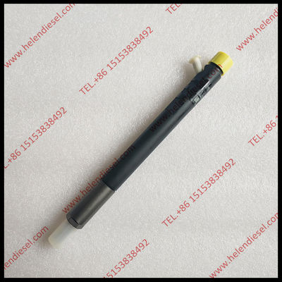 Ursprünglicher CR S EJBR04901D Injektor R04901D, 28280600, 27890116101, INJ-2.2-TML-E4, EJBR04901D für TATA Safari 2.2d fournisseur