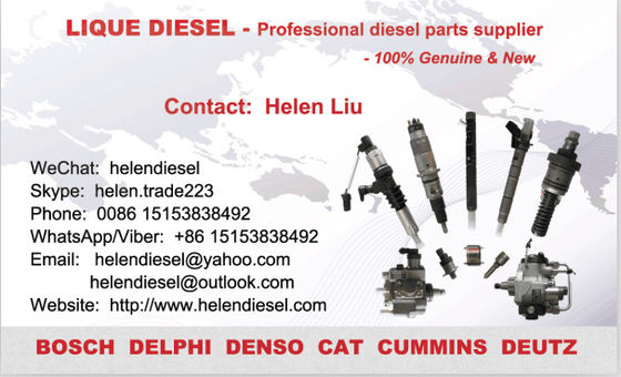 Echte und neue Tanksäule 294000-1840, 294000-1841, ISUZU-Dieselpumpe 8-98168006-0/8-98168006-1 /8981680060 DENSO fournisseur